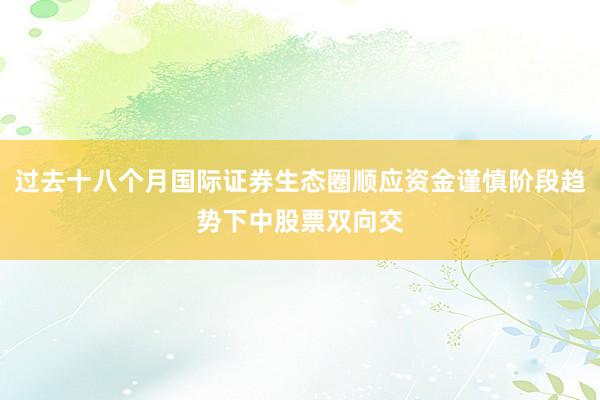 过去十八个月国际证券生态圈顺应资金谨慎阶段趋势下中股票双向交