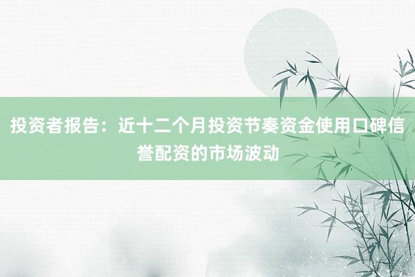投资者报告：近十二个月投资节奏资金使用口碑信誉配资的市场波动