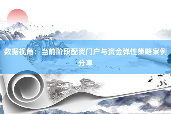 数据视角：当前阶段配资门户与资金弹性策略案例分享