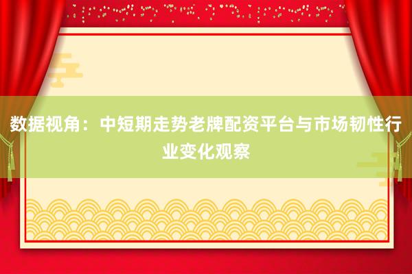 数据视角：中短期走势老牌配资平台与市场韧性行业变化观察