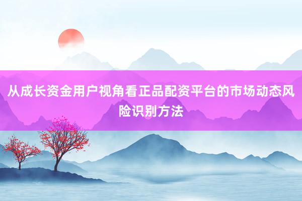 从成长资金用户视角看正品配资平台的市场动态风险识别方法