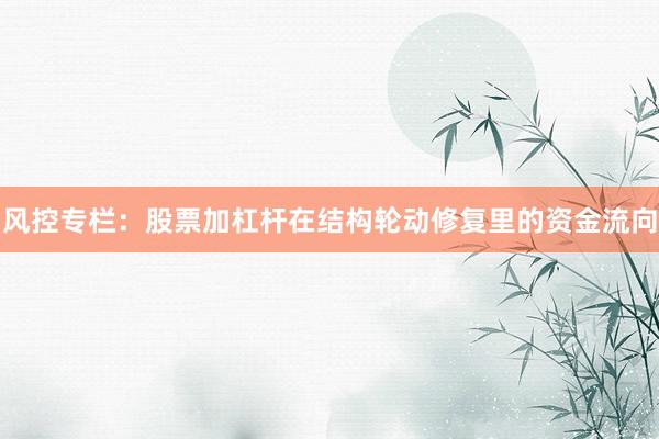 风控专栏：股票加杠杆在结构轮动修复里的资金流向