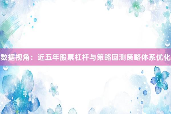 数据视角:近五年股票杠杆与策略回测策略体系优化