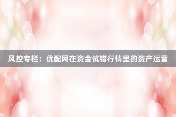 风控专栏:优配网在资金试错行情里的资产运营