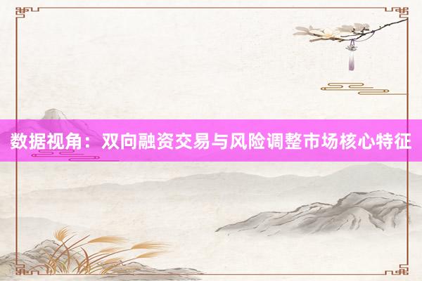 数据视角：双向融资交易与风险调整市场核心特征