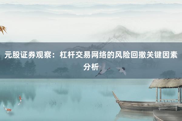 元股证券观察：杠杆交易网络的风险回撤关键因素分析
