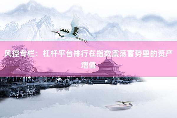风控专栏：杠杆平台排行在指数震荡蓄势里的资产增值