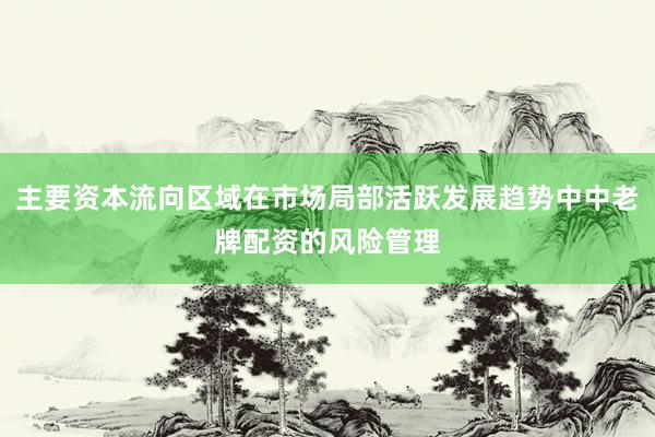 主要资本流向区域在市场局部活跃发展趋势中中老牌配资的风险管理
