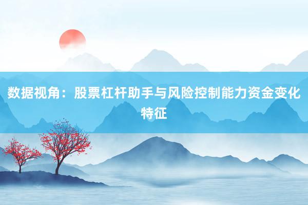 数据视角:股票杠杆助手与风险控制能力资金变化特征