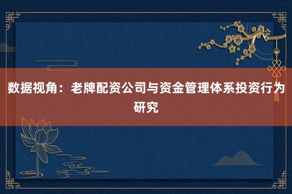 数据视角：老牌配资公司与资金管理体系投资行为研究