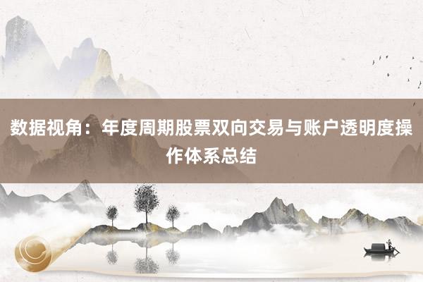 数据视角：年度周期股票双向交易与账户透明度操作体系总结