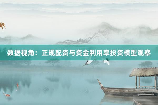 数据视角：正规配资与资金利用率投资模型观察