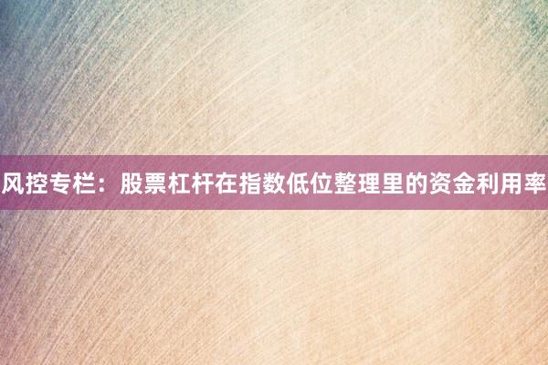 风控专栏：股票杠杆在指数低位整理里的资金利用率