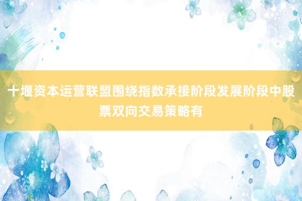 十堰资本运营联盟围绕指数承接阶段发展阶段中股票双向交易策略有