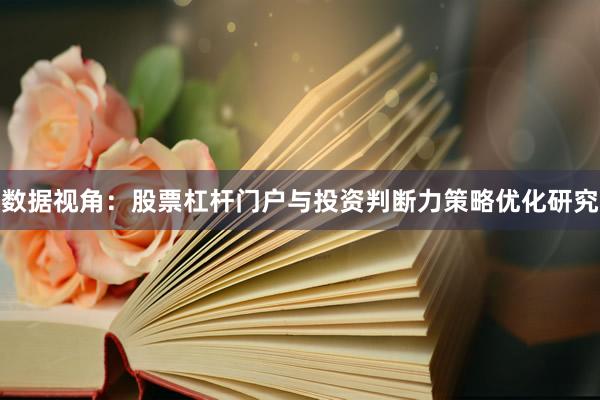 数据视角：股票杠杆门户与投资判断力策略优化研究
