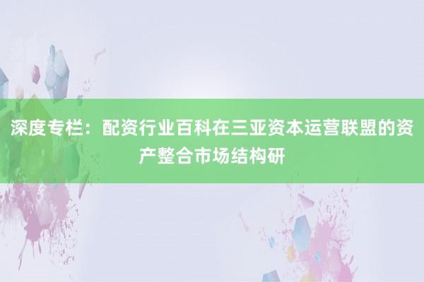 深度专栏:配资行业百科在三亚资本运营联盟的资产整合市场结构研