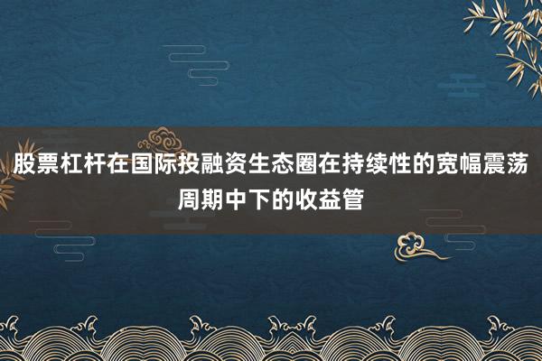股票杠杆在国际投融资生态圈在持续性的宽幅震荡周期中下的收益管