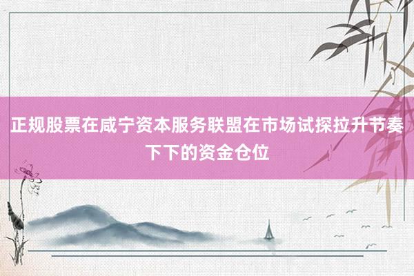 正规股票在咸宁资本服务联盟在市场试探拉升节奏下下的资金仓位