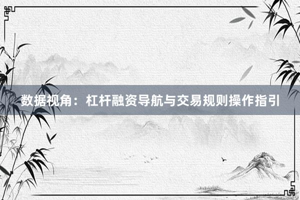 数据视角：杠杆融资导航与交易规则操作指引