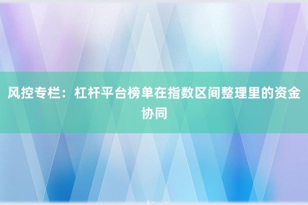 风控专栏：杠杆平台榜单在指数区间整理里的资金协同