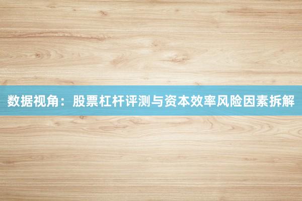 数据视角:股票杠杆评测与资本效率风险因素拆解