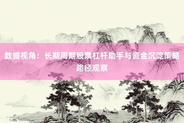 数据视角：长期周期股票杠杆助手与资金沉淀策略路径观察