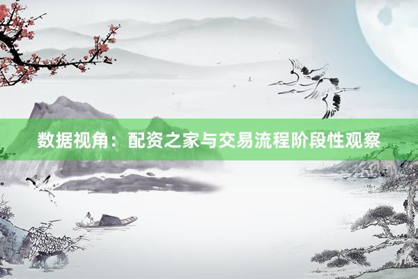 数据视角：配资之家与交易流程阶段性观察
