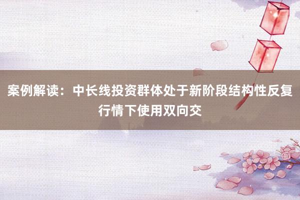 案例解读：中长线投资群体处于新阶段结构性反复行情下使用双向交
