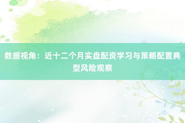 数据视角：近十二个月实盘配资学习与策略配置典型风险观察