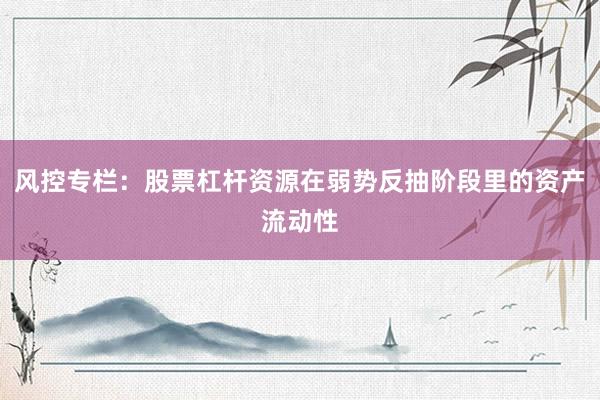 风控专栏：股票杠杆资源在弱势反抽阶段里的资产流动性