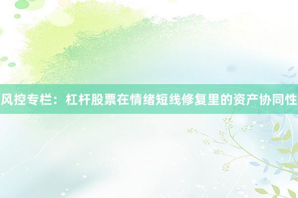 风控专栏:杠杆股票在情绪短线修复里的资产协同性