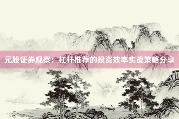 元股证券观察：杠杆推荐的投资效率实战策略分享