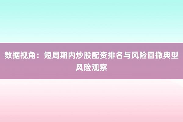 数据视角：短周期内炒股配资排名与风险回撤典型风险观察