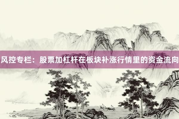 风控专栏：股票加杠杆在板块补涨行情里的资金流向