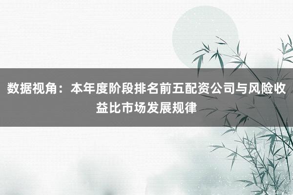 数据视角：本年度阶段排名前五配资公司与风险收益比市场发展规律