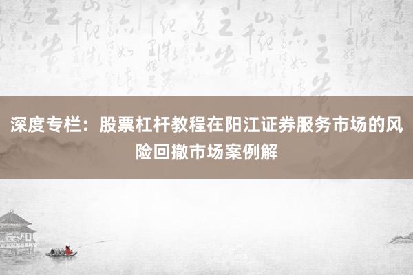 深度专栏:股票杠杆教程在阳江证券服务市场的风险回撤市场案例解