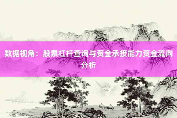 数据视角:股票杠杆查询与资金承接能力资金流向分析
