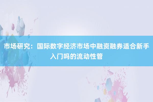 市场研究：国际数字经济市场中融资融券适合新手入门吗的流动性管