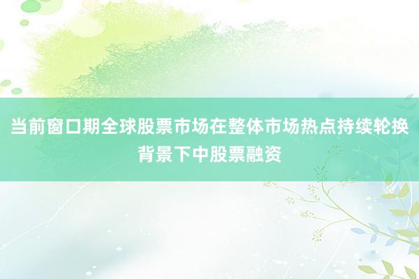 当前窗口期全球股票市场在整体市场热点持续轮换背景下中股票融资