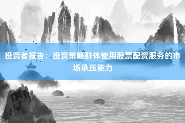 投资者报告：投资策略群体使用股票配资服务的市场承压能力