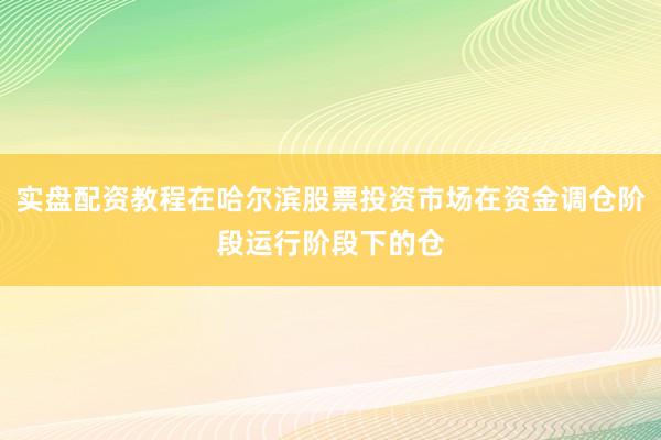 实盘配资教程在哈尔滨股票投资市场在资金调仓阶段运行阶段下的仓