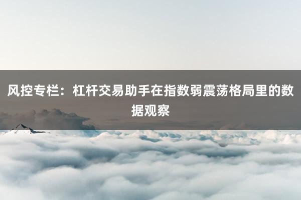 风控专栏：杠杆交易助手在指数弱震荡格局里的数据观察