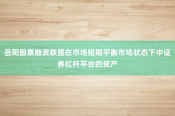 岳阳股票融资联盟在市场短期平衡市场状态下中证券杠杆平台的资产