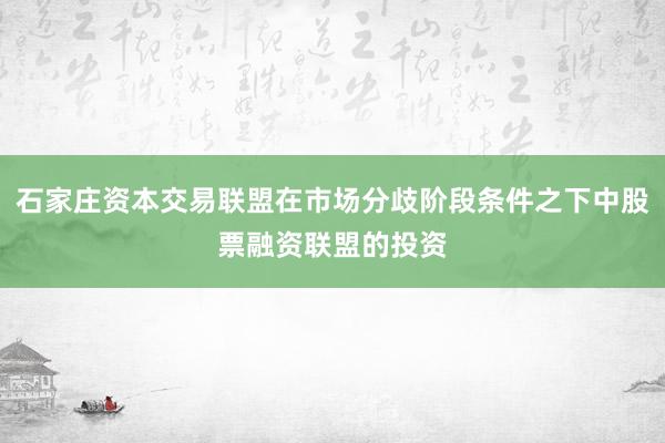 石家庄资本交易联盟在市场分歧阶段条件之下中股票融资联盟的投资